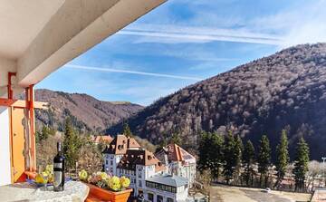 Номер эконом-класса с балконом в Отеле Hotel Sinaia